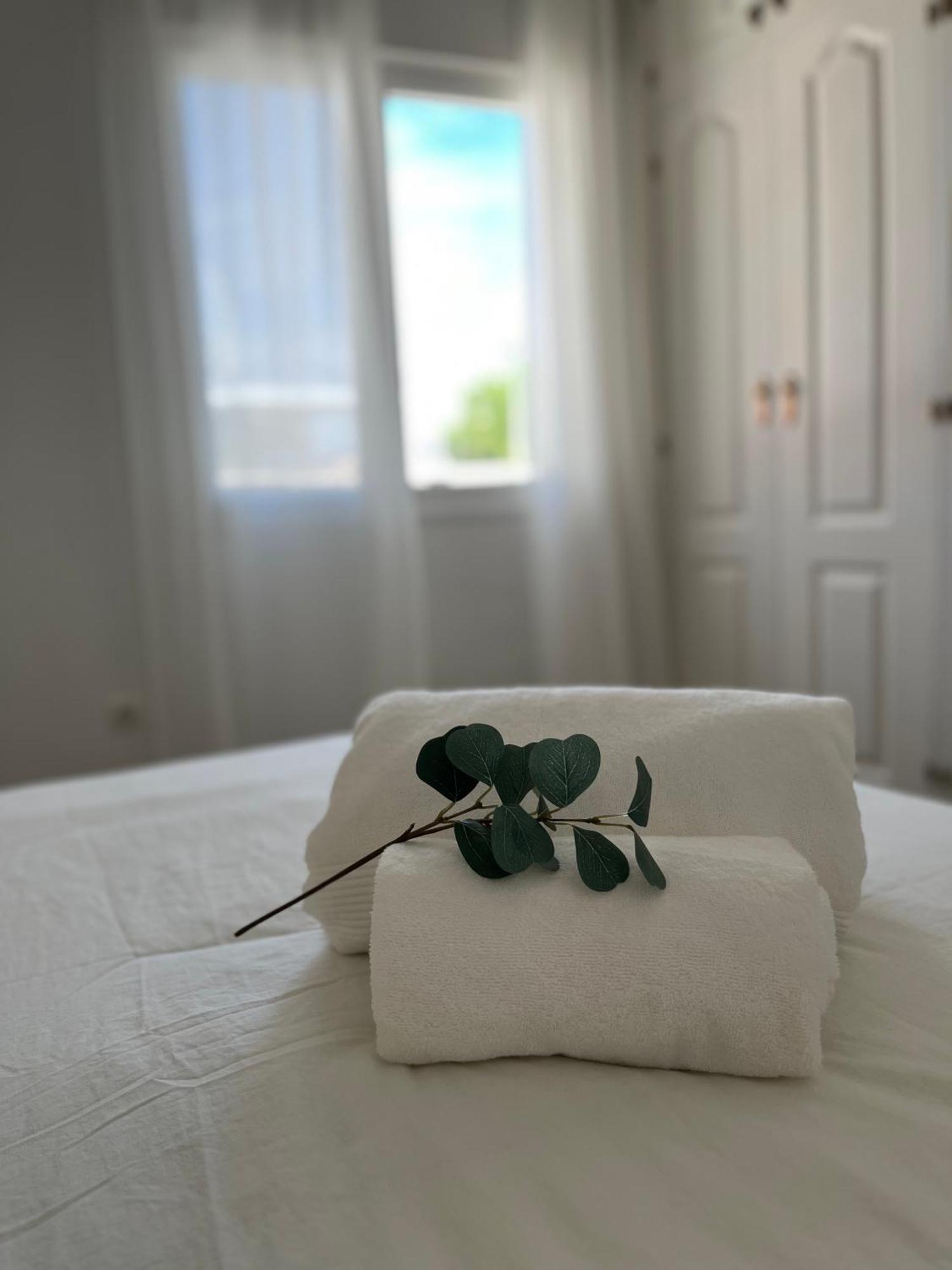 Prime Location - Stylish With Free Wifi, Free Parking, Steps From The Historic Center Appartement Málaga